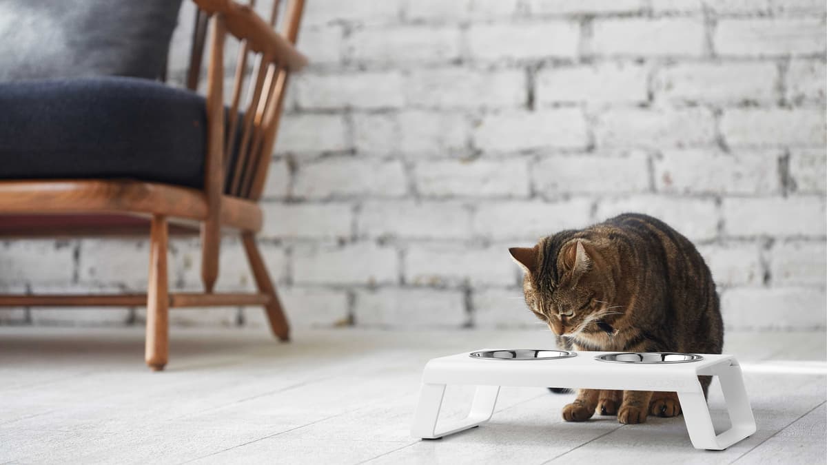 MiaCara Desco Kattenvoerbak Aluminium Grijs thumbnail 2