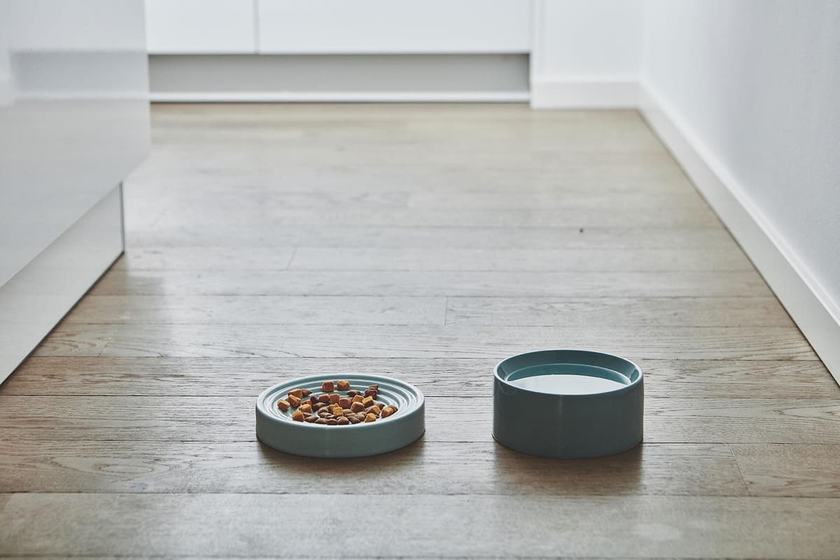 MiaCara Piatto KattenvoerbakØ16 Concrete thumbnail 2