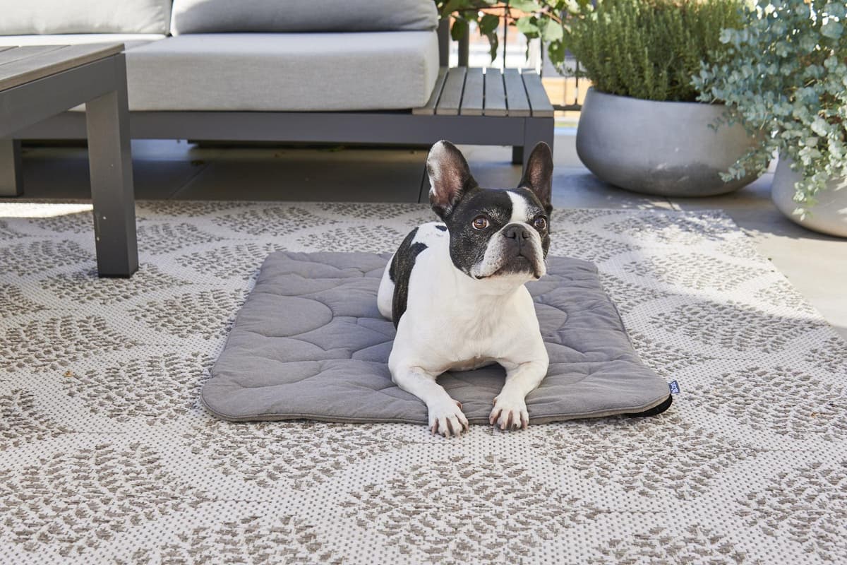 MiaCara Linea Hondenplaid Small Pebble thumbnail 4