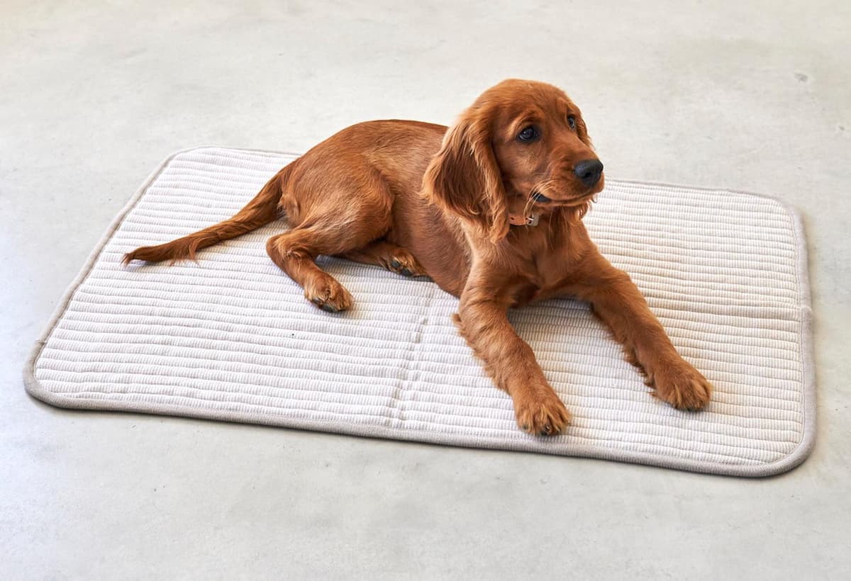 MiaCara Onda Plaid Small Greige thumbnail 2