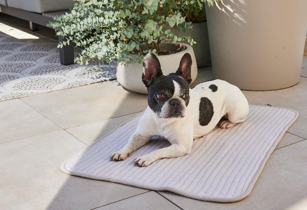 MiaCara Onda Plaid Small Greige thumbnail 3