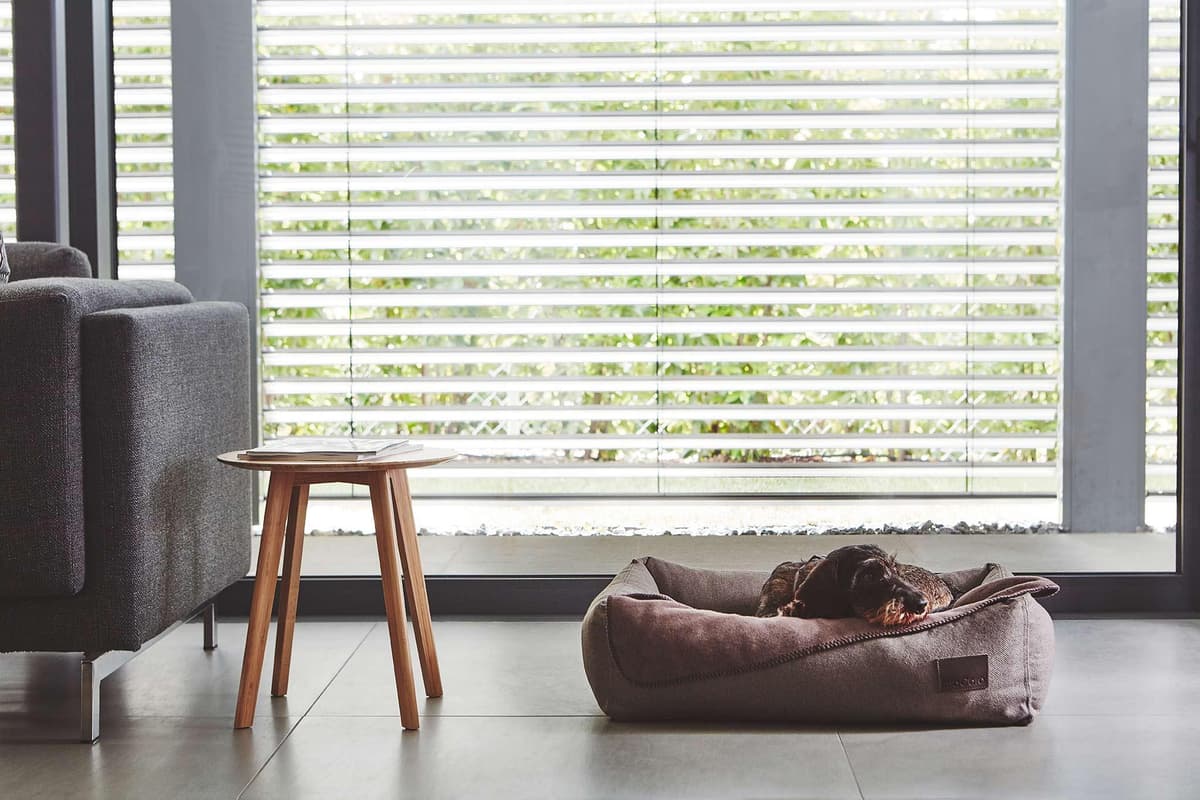 MiaCara Unica Hondenplaid Medium Sage thumbnail 4