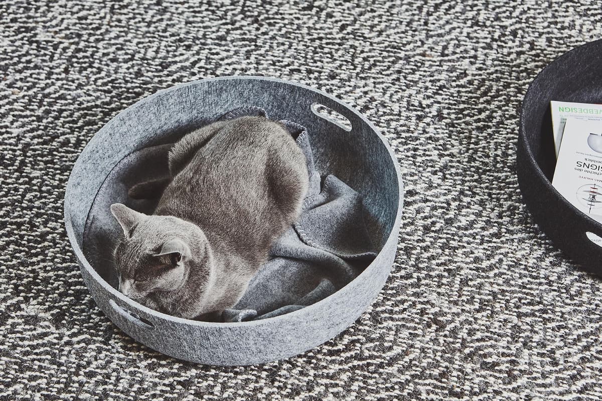 MiaCara Unica Kattenplaid Pebble thumbnail 4