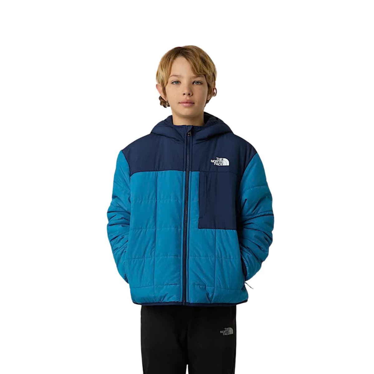 The North Face Reversible Shasta F/z Casaul Winterjas Jongens Blauw Dessin 152 thumbnail 7