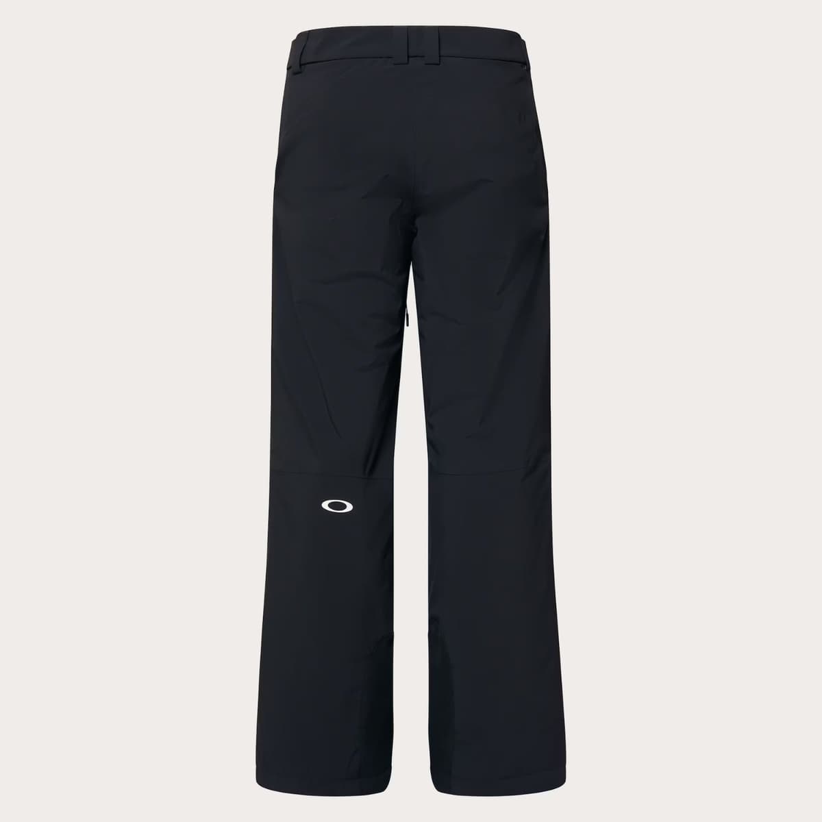 Oakley Canopy Insulated Ski/snowboardbroek Heren Zwart L thumbnail 6