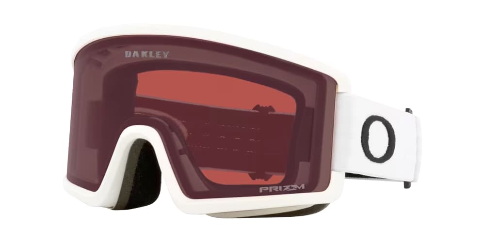 Oakley Target Line L Ski/snowboardbril Wit 1