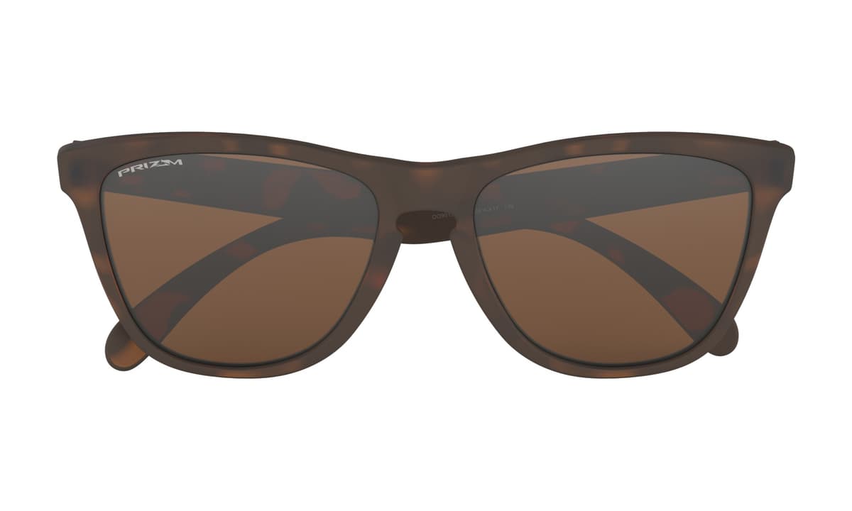 Oakley Frogskins Zonnebril Sr Bruin 1 thumbnail 2