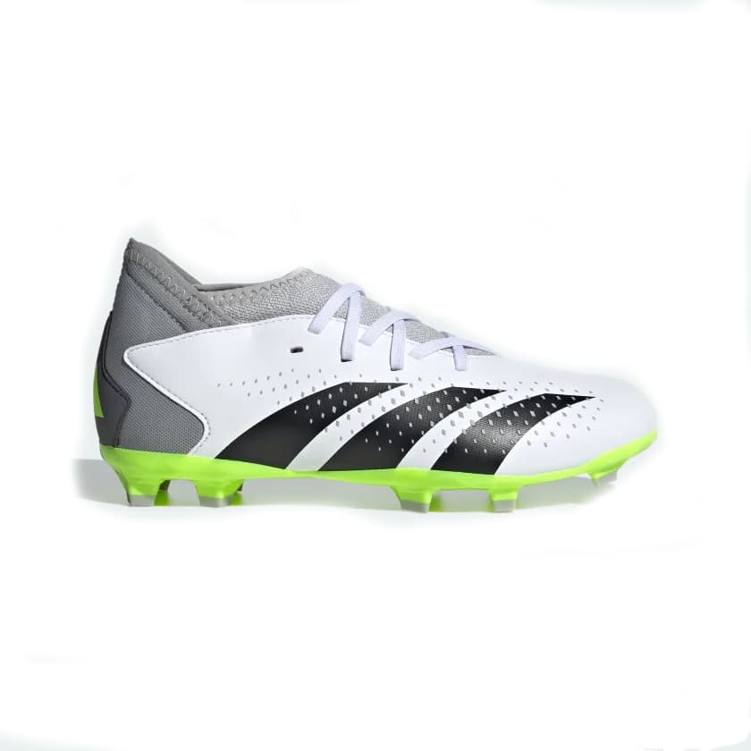 Adidas Predator Accuracy.3 Fg Voetbalschoenen Wit Dessin 44