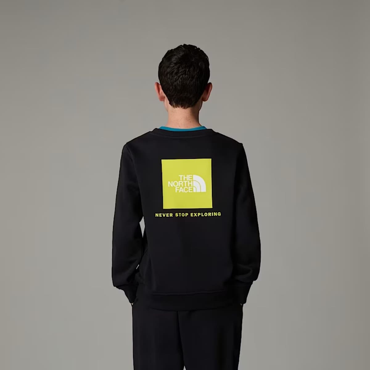 The North Face Redbox Regular Crew Casual Sweater Jongens Zwart 128 thumbnail 5