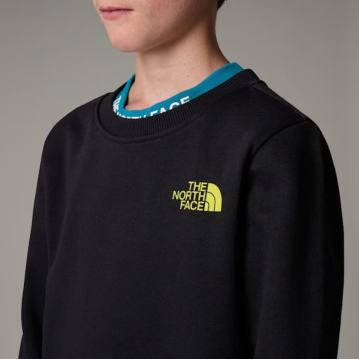 The North Face Redbox Regular Crew Casual Sweater Jongens Zwart 128 thumbnail 4