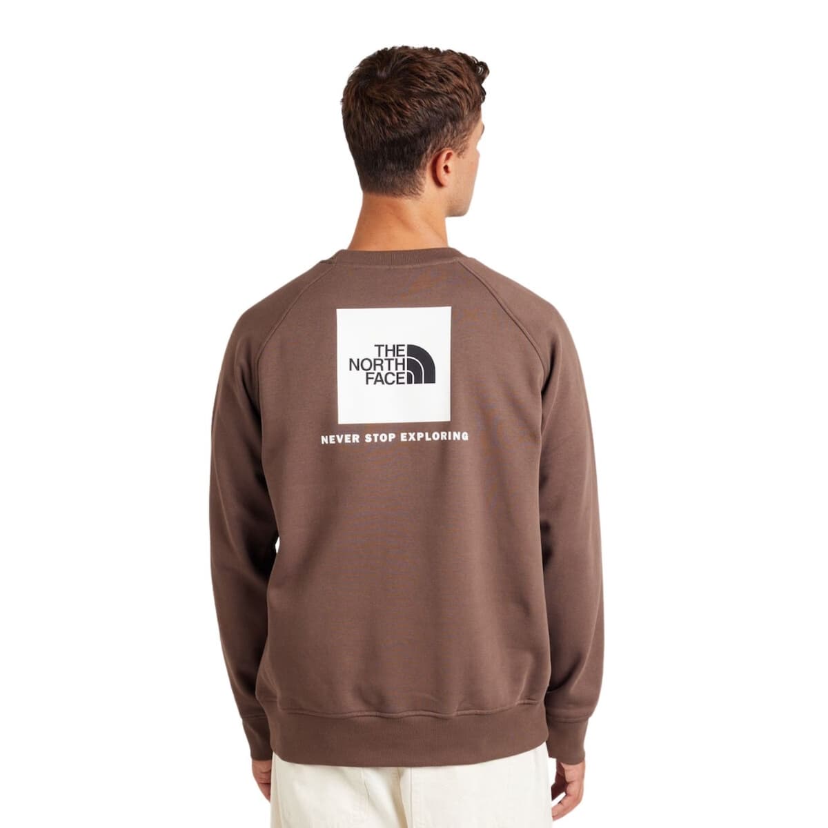 The North Face Raglan Nse Crew Casual Sweater Heren Bruin M thumbnail 4