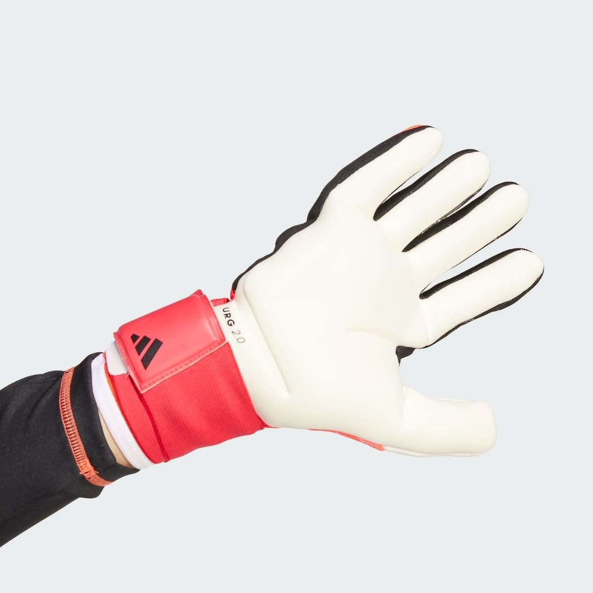 Adidas Predator Competition Keepershandschoenen Rood 9.5 thumbnail 5