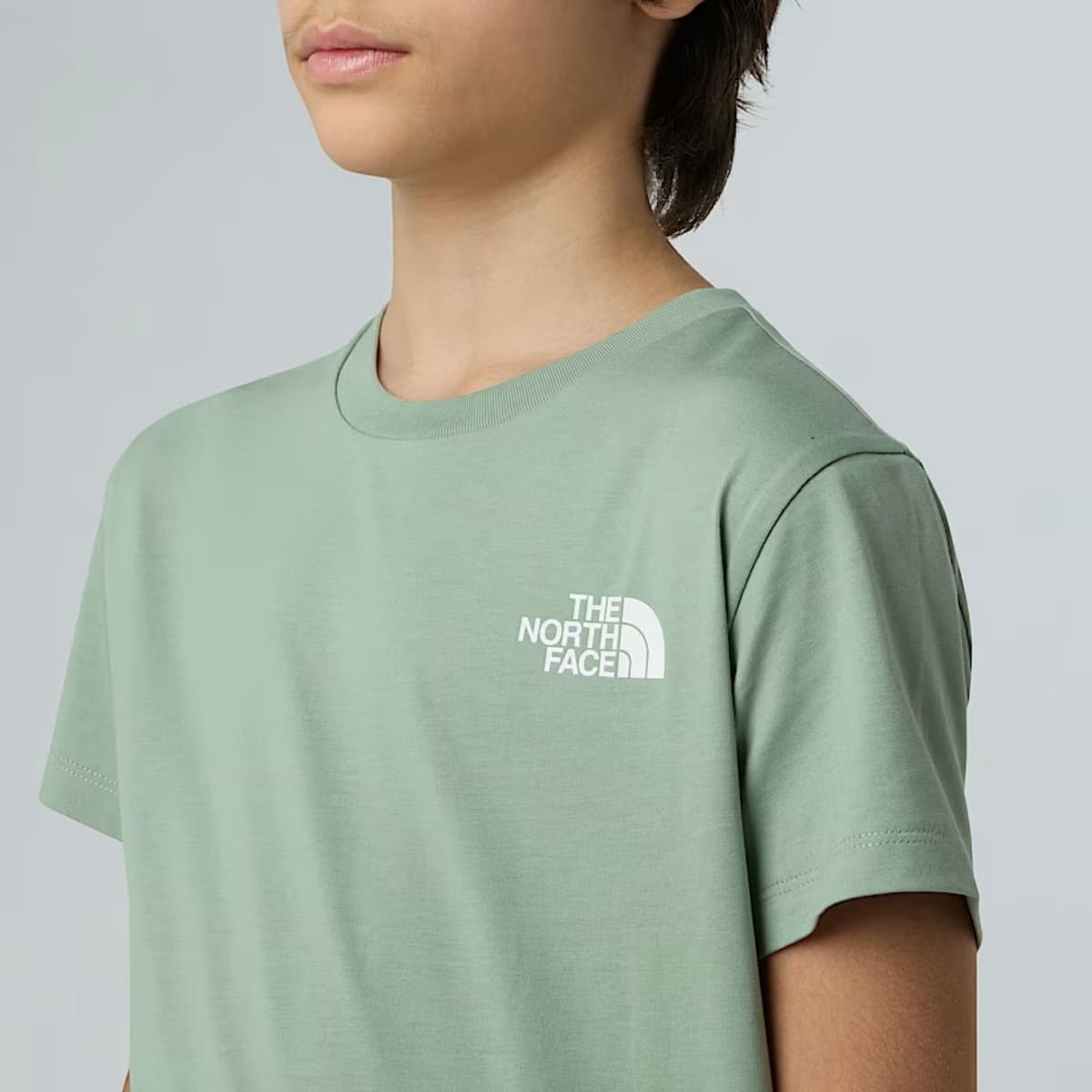 The North Face Simple Dome Casual T-shirt Jongens Groen 140 thumbnail 3