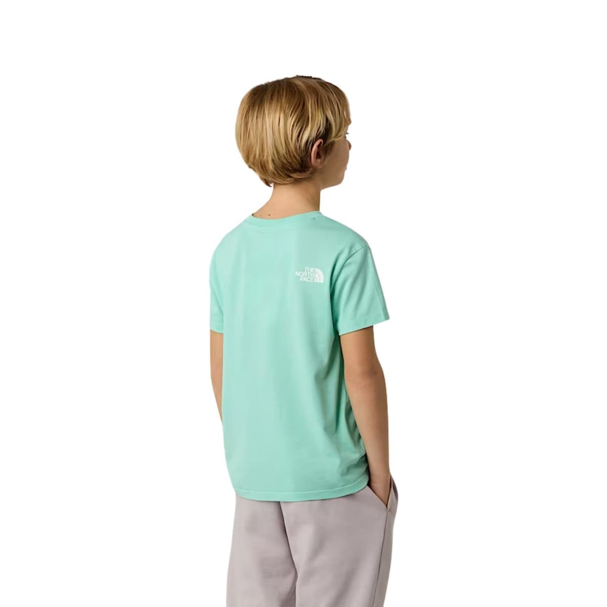 The North Face S/s Simple Dome Casual T-shirt Jongens Lime Groen 152 thumbnail 5