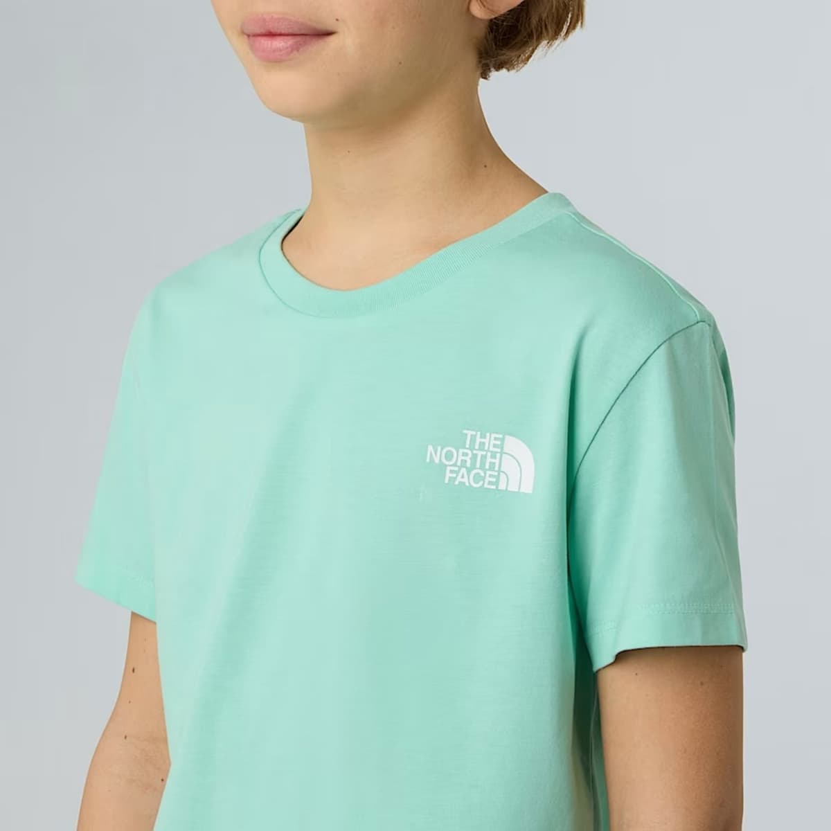 The North Face S/s Simple Dome Casual T-shirt Jongens Lime Groen 152 thumbnail 4