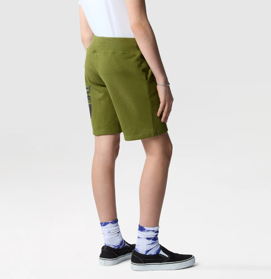 The North Face Cotton Casual Short Jongens Khaki 164 thumbnail 3