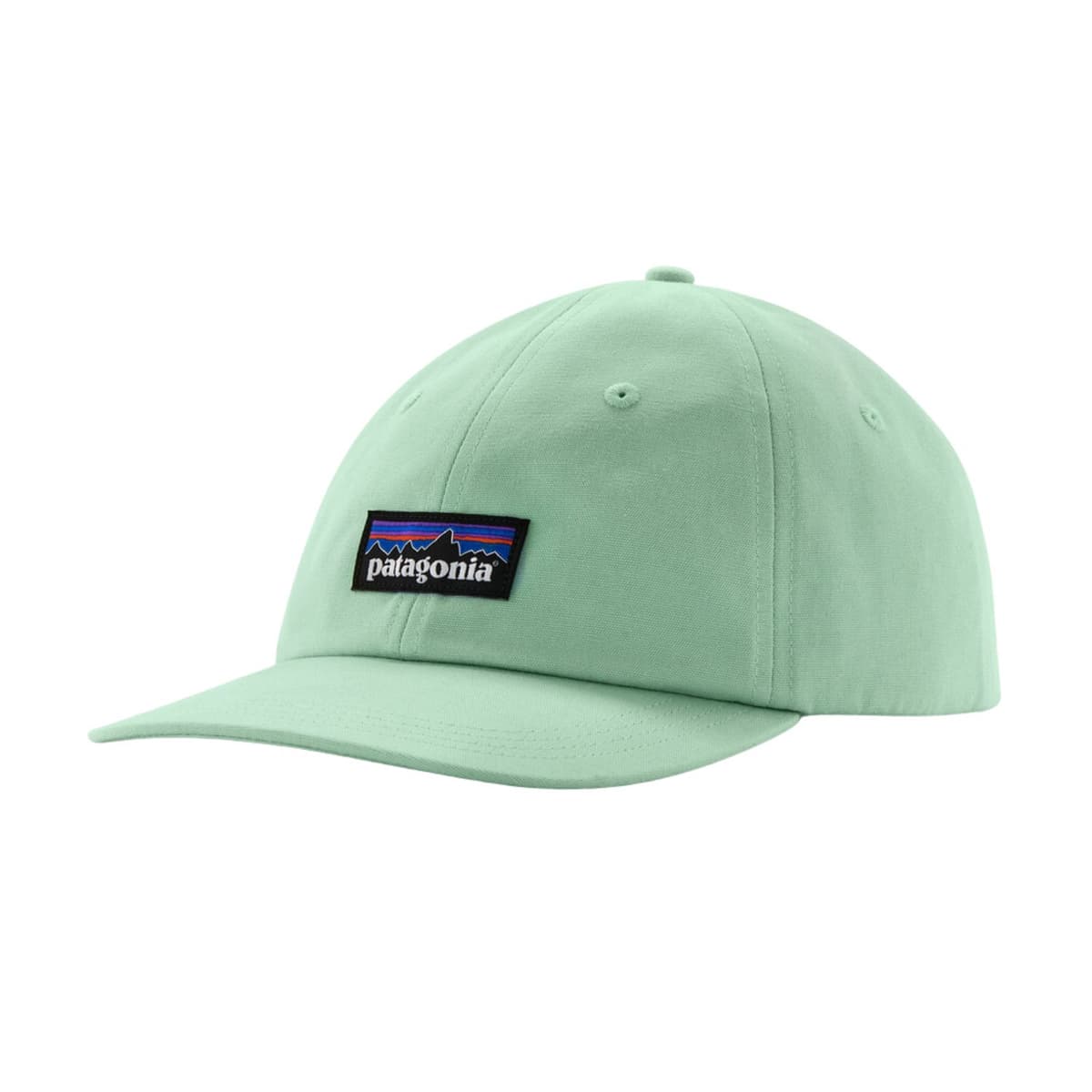 Patagonia P-6 Label Outdoor Cap Groen 1