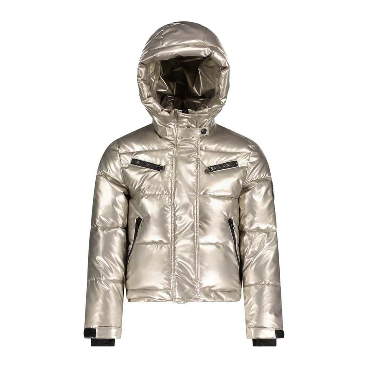 Super Rebel Spicy Metallic Hooded Ski Jacket
