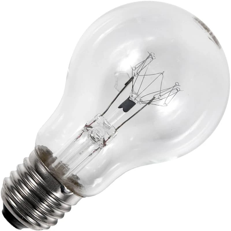 Schiefer E27 Gloeilamp | 100W 2700K 1000lm 230V | Dimbaar thumbnail 2