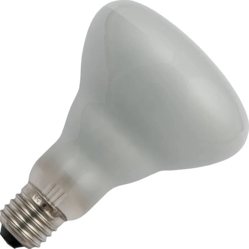 Schiefer E27 R95 Halogeenlamp | 105W 2800K 220V/240V 90° | Dimbaar