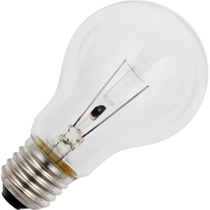 Schiefer E27 Gloeilamp | 100W 2700K 1400lm 24V | Dimbaar thumbnail 2