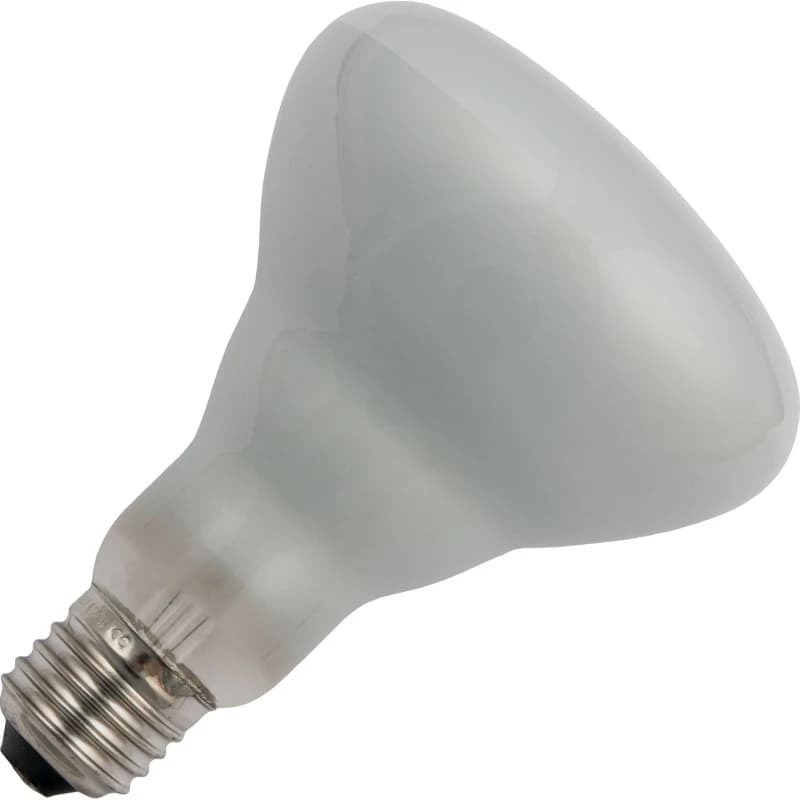 Schiefer E27 R95 Reflector Gloeilamp | 200W 2700K 220V/240V Mat Zilver 30° | Dimbaar thumbnail 2