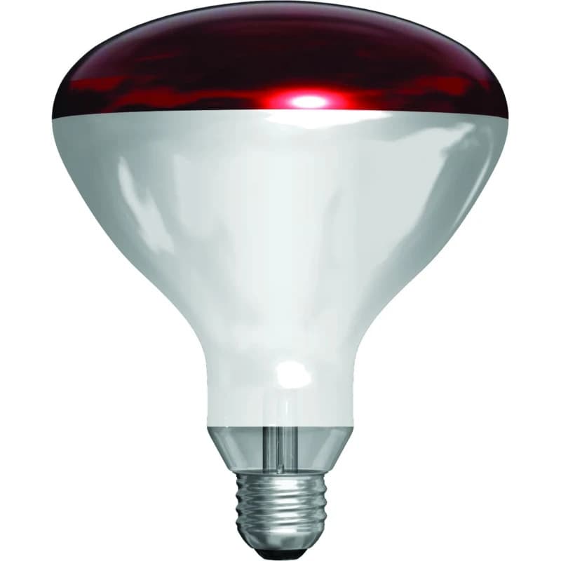 Schiefer E27 Infrarood Lamp | 250W 220V/240V R125 thumbnail 2