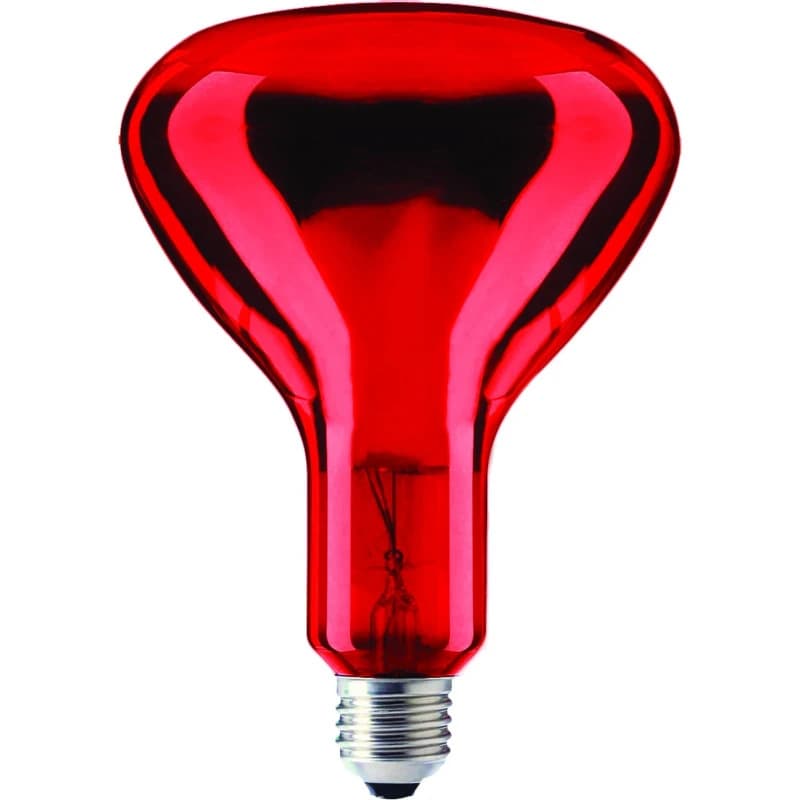 Schiefer E27 Infrarood Lamp | 100W 220V/240V R95 thumbnail 2