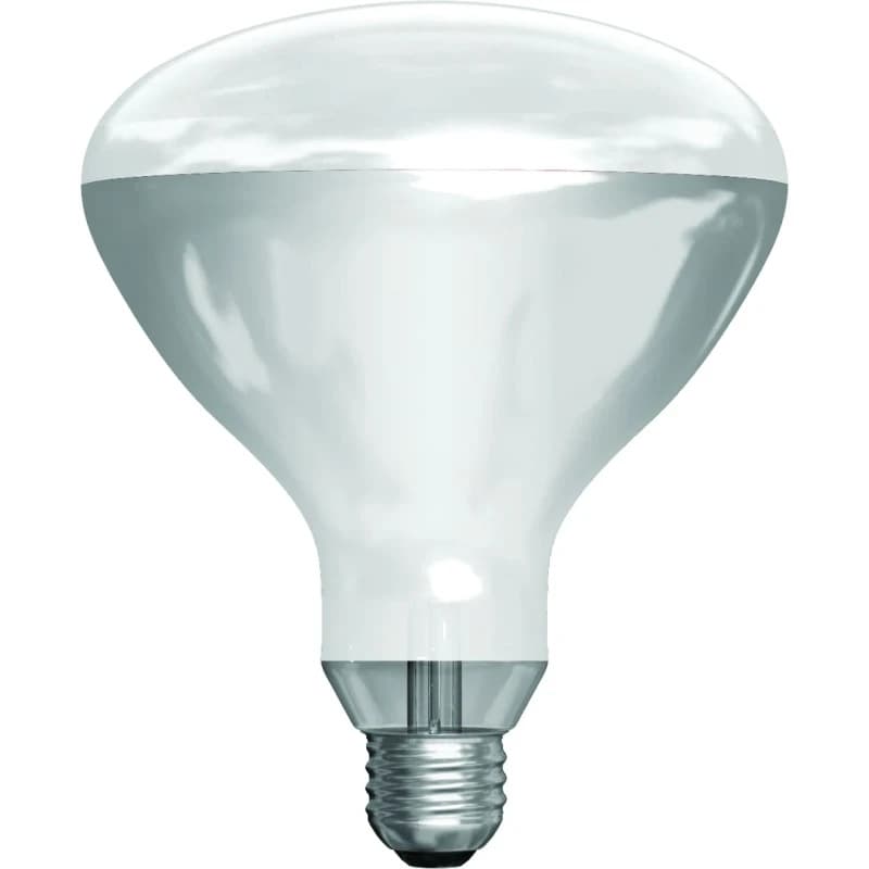 Schiefer E27 Infrarood Lamp | 375W 220V/240V R125