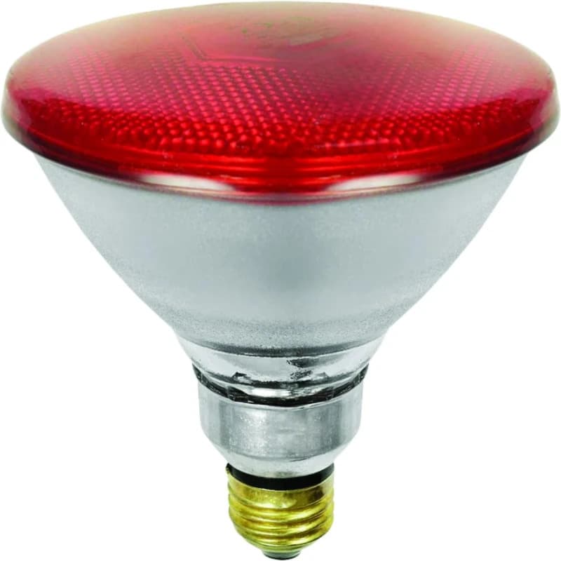 Schiefer E27 Infrarood Lamp | 100W 220V/240V PAR38 thumbnail 2