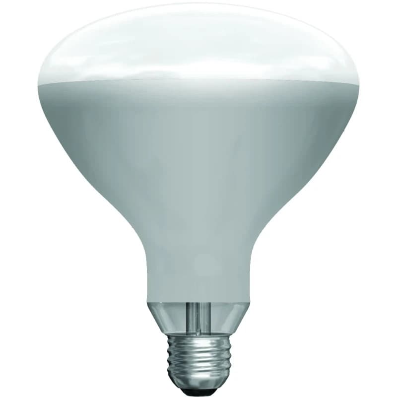 Schiefer E27 Infrarood Lamp | 250W 220V/240V R125 thumbnail 2