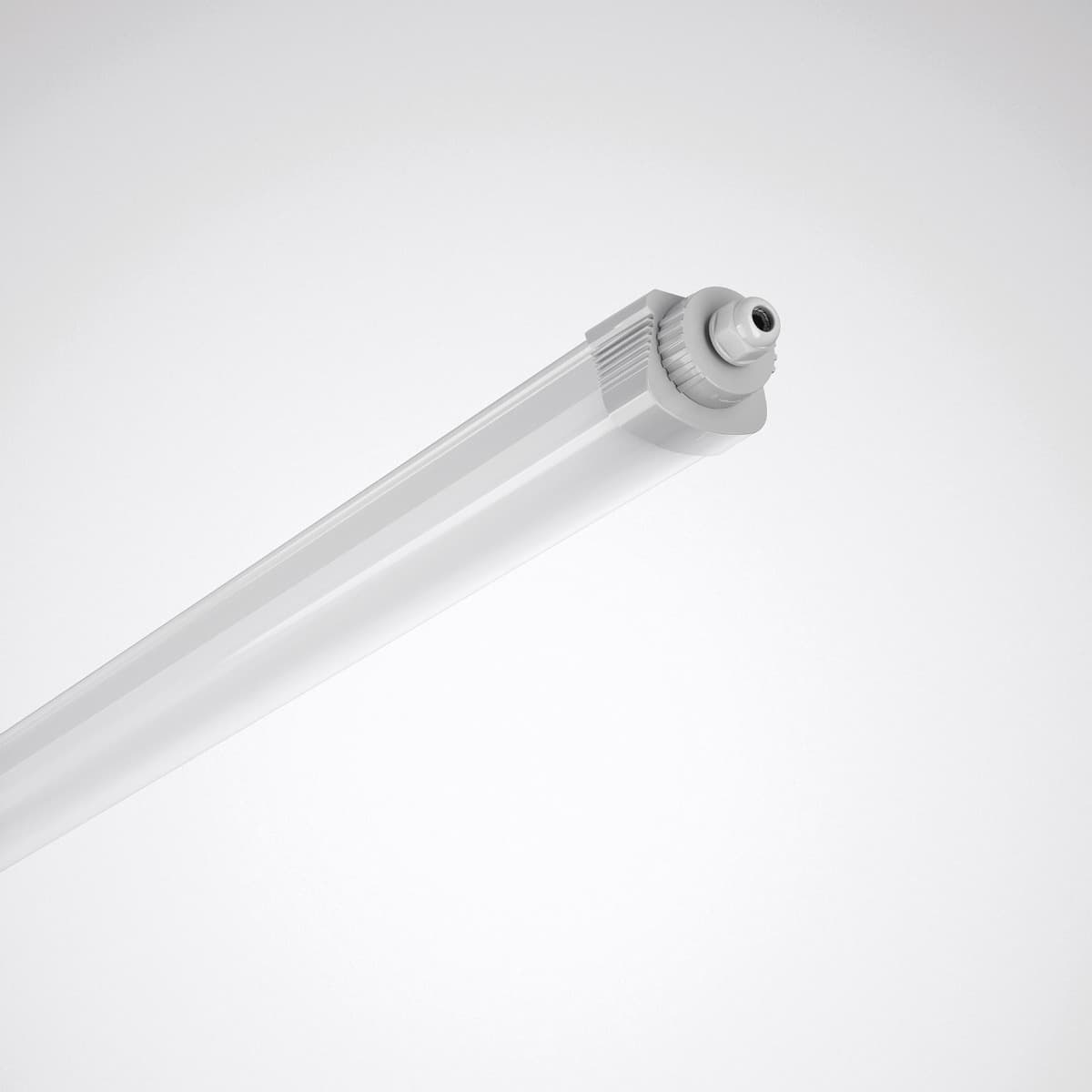 Trilux Twenty3 Waterdicht LED armatuur 120cm | 33W 6500K 3800Lm | 865 IP65 | 2315 thumbnail 2