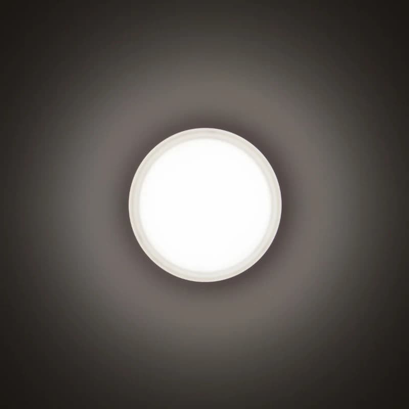 Performance in Lighting LED OpbouwarmatuurØ276mm | 16W 4000K 1382lm 840 | IP55 Dimbaar Zwart