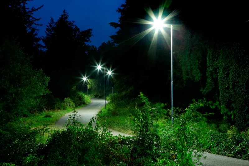 6x Philips E27 TrueForce LED Lamp | 24.5W 4000K 220V/240V 840 | 4000lm 300° Ø91.5mm thumbnail 2