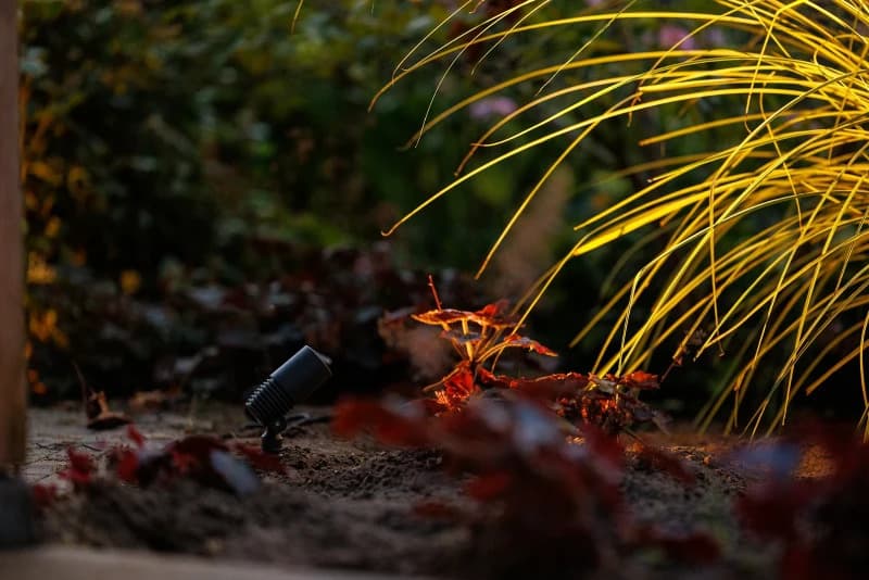 Garden Lights Grondpen 12V | Alder | 1.8W 150Lm 3000K | IP44 thumbnail 2