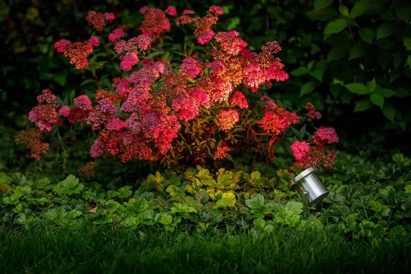 Garden Lights Onderwaterspot 12V | Arigo | 2.6W 230Lm 3000K | IP68 thumbnail 2