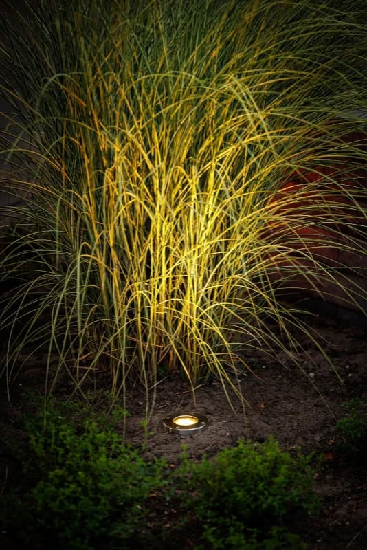Garden Lights Grondspot Inbouw 12V | Umbra | 2.6W 230Lm 3000K | IP44 thumbnail 2