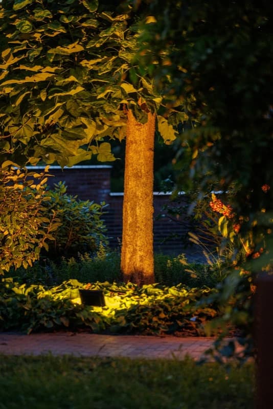 Lightpro Floodlight 12V | Avior | 16W 1500Lm 3000K | IP44 thumbnail 2