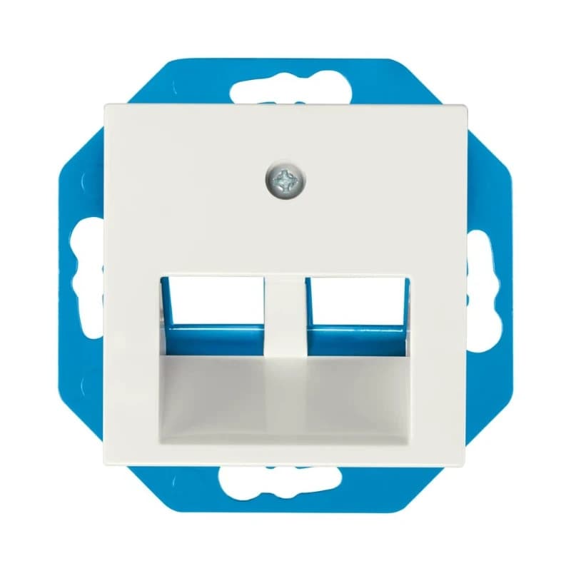 Ion Industries Modular Jack | Cat en Coax | 30° 2-voudig met Centraalplaat V1/J1 Alpin Wit