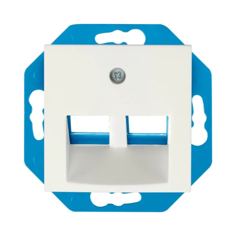 Ion Industries Modular Jack | Cat en Coax | 30° 2-voudig met Centraalplaat E1 Mat Alpin Wit