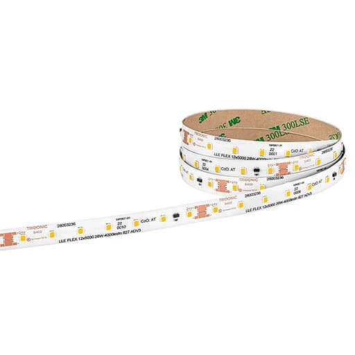 10x Tridonic LED Module | 6500K  28003239