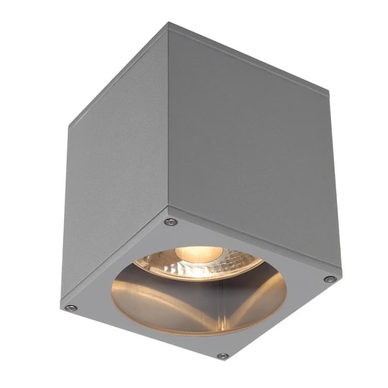 SLV LED Plafondlamp | 1X GU10 Max 75W  | IP44 Dimbaar | BIG THEO