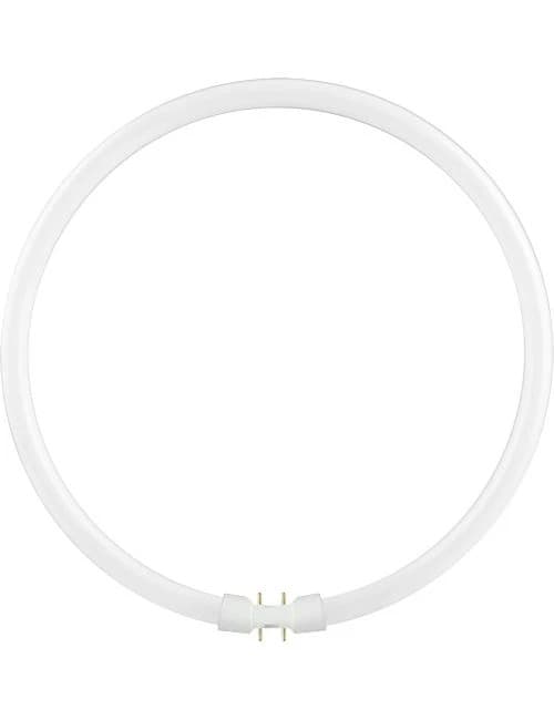 Schiefer 2GX13 T5 TL-Buis | 40W 3000K 2500lm 830 | 305mm