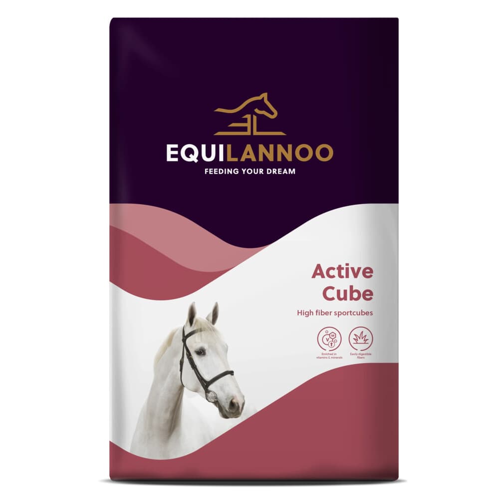 Equilannoo Active Cube 20 kg