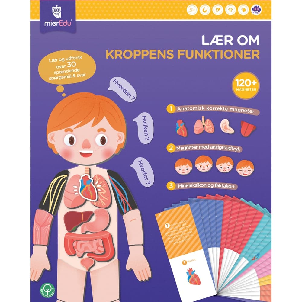 mierEdu - Magnetic Learning Box - All About Body and Emotion (Danish) - (ME097D) - afbeelding 1