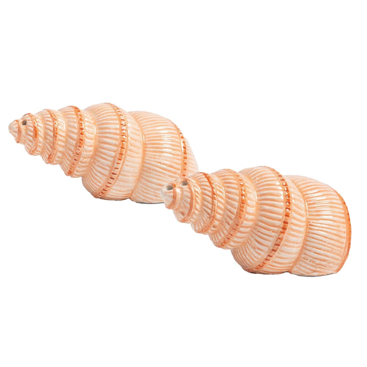 &klevering Shell Peper- En Zoutstel