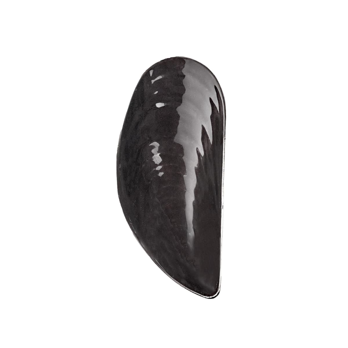 Serax Les Objets Mouleversants By Wouters&Hendrix Schaal S Black