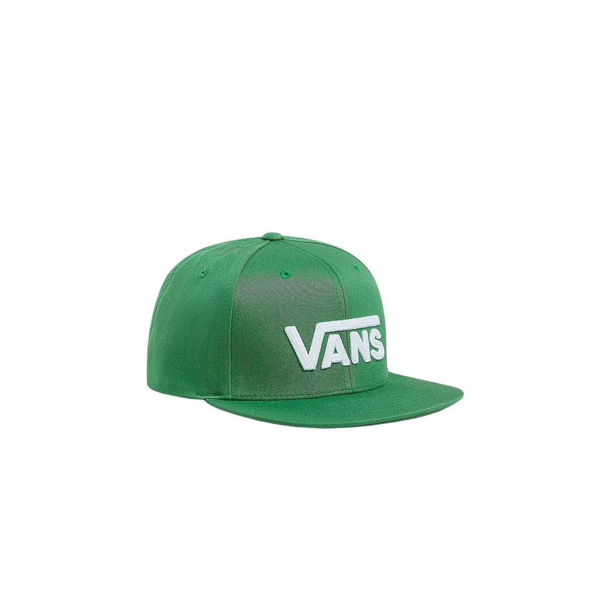 Vans Drop V Ii Sport Caps Groen 1