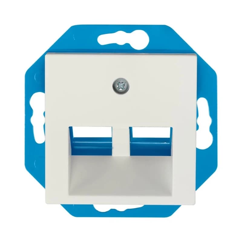 Ion Industries Modular Jack | Cat en Coax | 30° 2-voudig met Centraalplaat V1/J1 Mat Alpin Wit