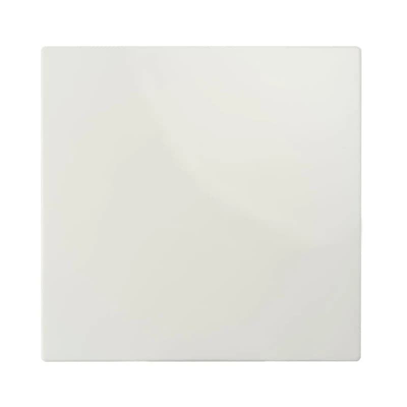 Ion Industries Bedieningswip | Wisselschakelaar E1 Mat Alpin Wit | IP20